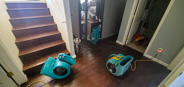 Best Mold removal after water damage  in Otis Orchards East Farms, WA