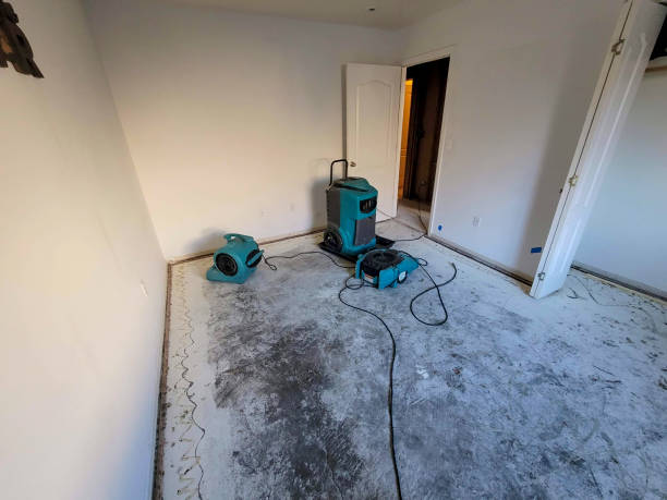 Best Emergency water damage restoration  in Otis Orchards East Farms, WA