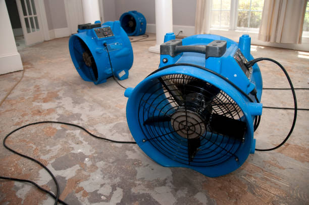 Best Water damage restoration near me  in Otis Orchards East Farms, WA