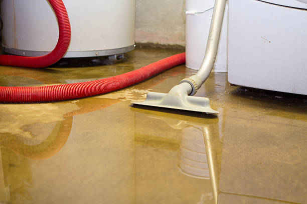 Sewage cleanup and water damage restoration in Otis Orchards East Farms, WA