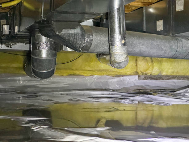 Best Water damage restoration near me  in Otis Orchards East Farms, WA