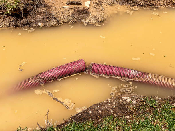 Best Basement water damage restoration  in Otis Orchards East Farms, WA