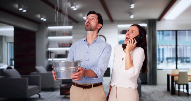 Best Water damage cleanup near me  in Otis Orchards East Farms, WA