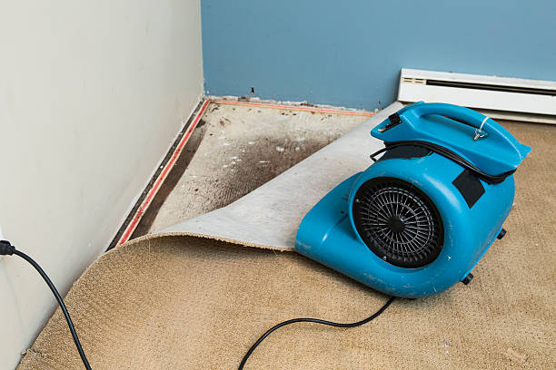 Best 24/7 water damage repair  in Otis Orchards East Farms, WA